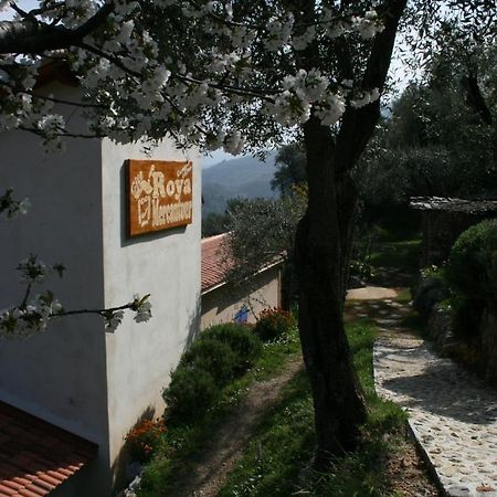 بريل-سور-رويا Gite Roya Mercantour المظهر الخارجي الصورة
