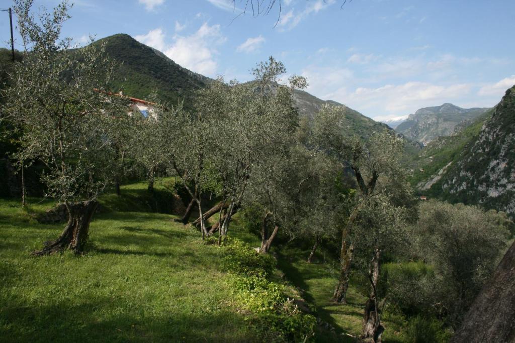 بريل-سور-رويا Gite Roya Mercantour المظهر الخارجي الصورة